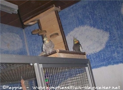 Lissy und Jakob auf dem Spielplatz