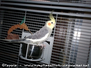 Micky, Zugang am 17.10.2015