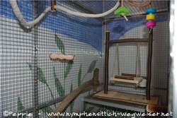 erste Zwischenbegutachtung