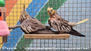 Gretel und Skinny im Juli 2025