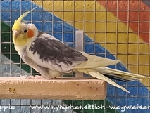 Jacky † Januar 2025