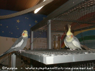 Kunt und Otto auf der Anflugklappe