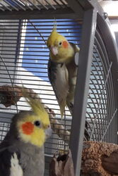 Micky und Otto