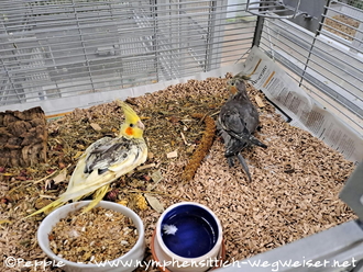Blondie und Thira