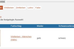 Auswahl der Grundfarbe