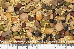 Nymphensittich Wegweiser Kochfutter der Körnerbude