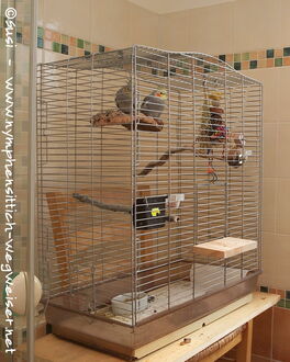 Quarantäne im Gästebad