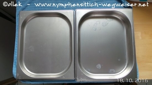 Gastrobehälter mit unterschiedlichen Tiefen