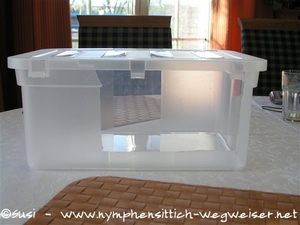 Kiste mit Ausschnitt für den Eingang