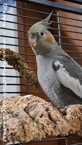 Hallo, ich bin Skyler