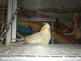 Rainbow an Sunday City 3