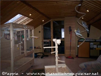 Freiflugzimmer der Bewohner von Rooftop Castle