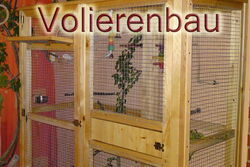 Voliere von regi75