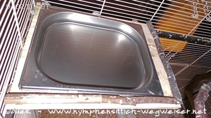 Badeschale in der Voliere - innen