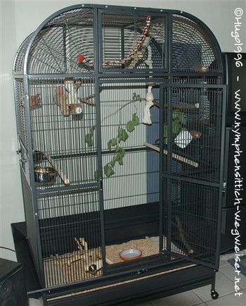 Montana Daytona Voliere