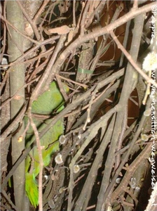 Kletterspass - absolut gegeben