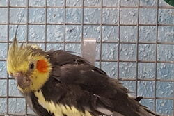 Wir sagen Danke! Arnie