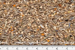 Wie in der Prärie: Sittichfutter bei Birdsandmore