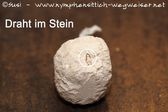 Draht im Kalkstein ist eine Verletzungsgefahr