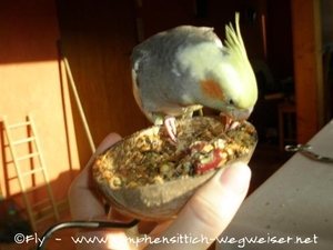 Knabberspaß garantiert