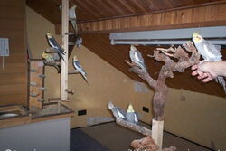 4 und 4 von 10 Rooftop Castlern