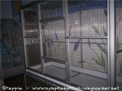 Aufbau
 New Sunday City