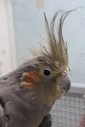 Gretel im Januar 2022