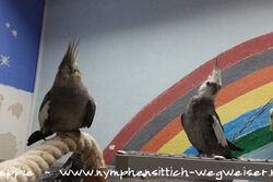 Gretel und Justus auf der Lounge