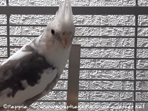 Hallo, ich bin Tipsy