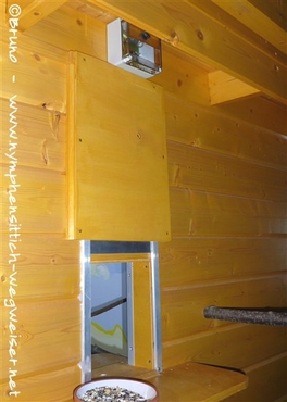 Ausflug mit Hühnerausschieber