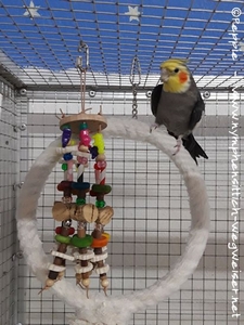 Der Admiral im Oktober 2022