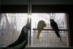 Elisabeth und Jakob am Fenster mit Justus