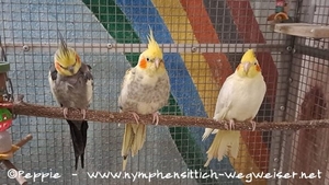 Liebe Grüße von uns allen