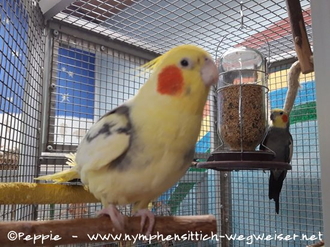 Peaches und Charlie im Juni 2021