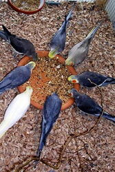 gemeinsames Frühstück