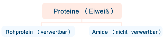 Proteine