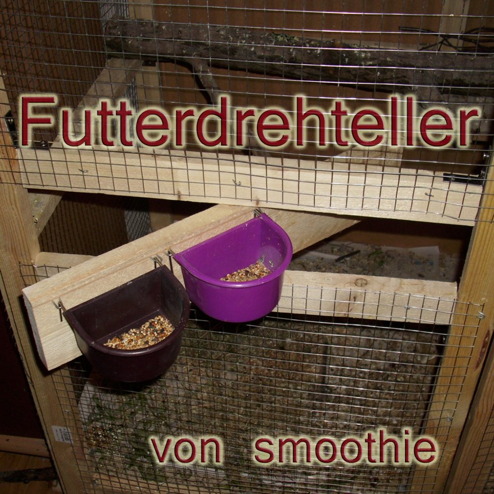 Futterdreteller - smoothie
