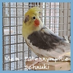 Patenavatar Schnuki